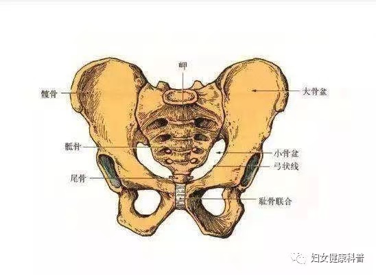 微信圖片_202101040856421.jpg